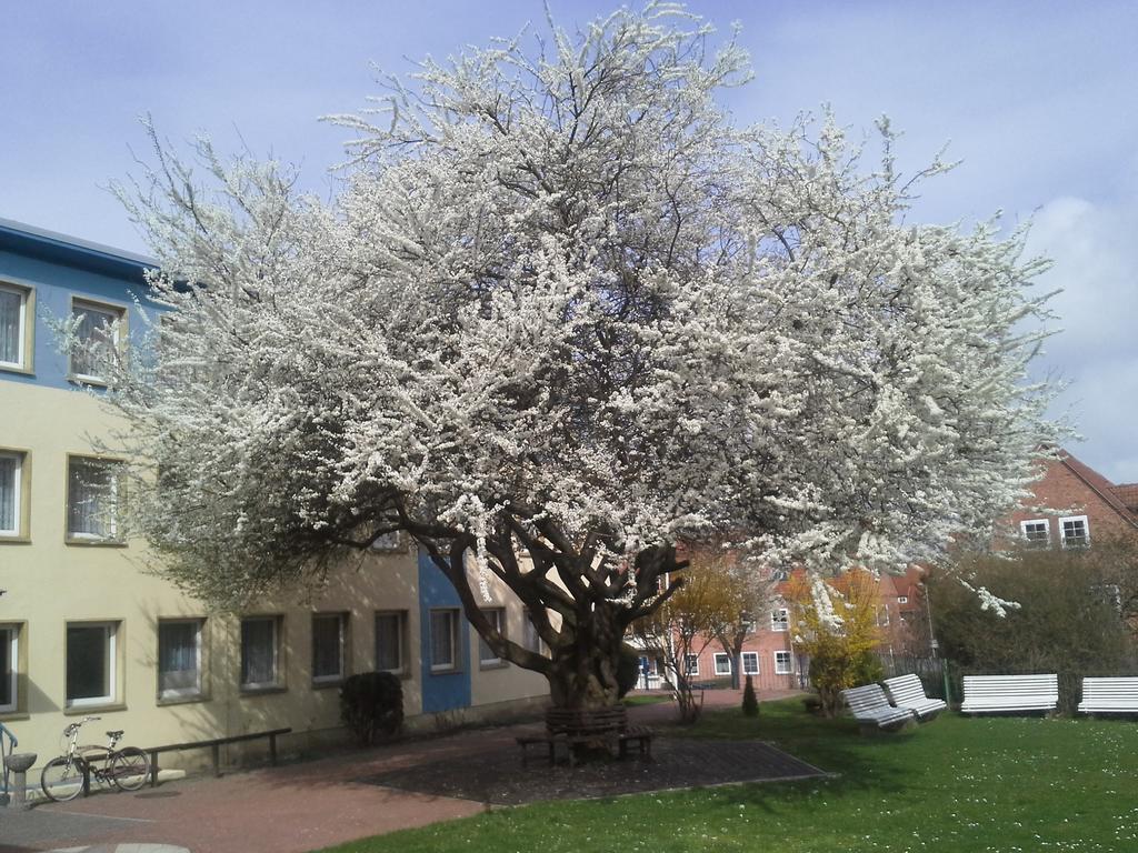 Hotel Bertramshof Wißmar Εξωτερικό φωτογραφία
